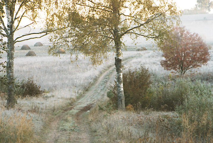 photo "``Frosty morning`` From series Fall" tags: landscape, autumn