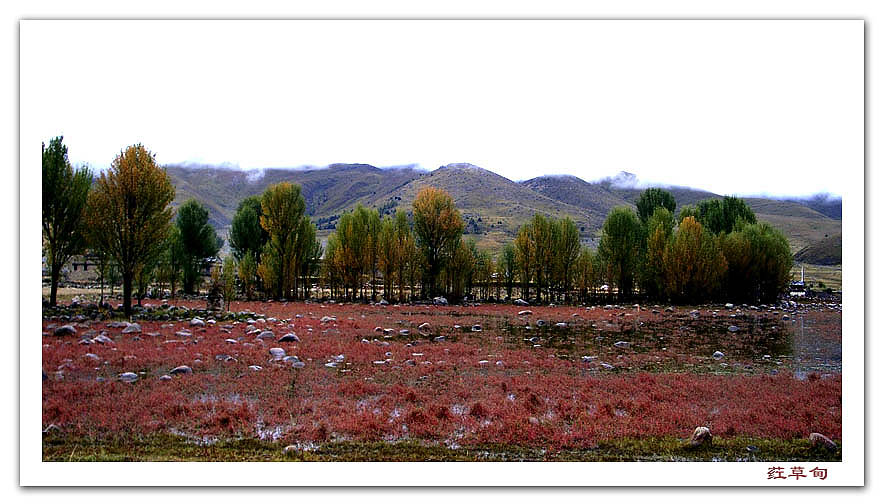 photo "red lea" tags: travel, Asia