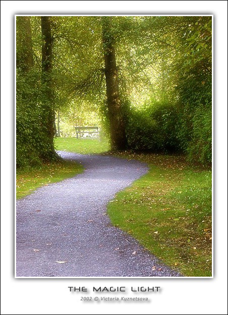 photo "The magic light" tags: landscape, autumn, forest