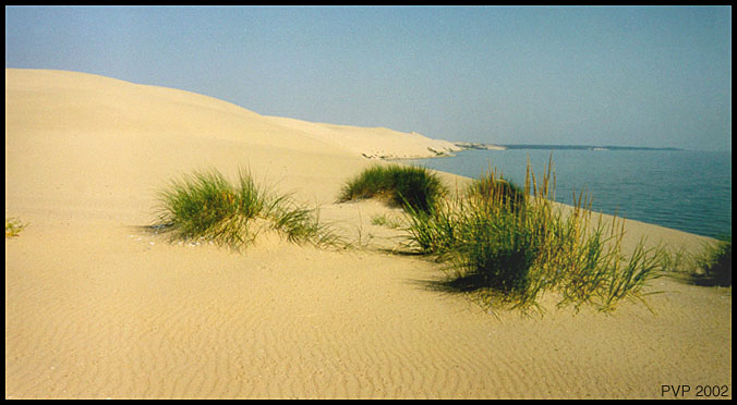 photo "Dune (2)" tags: travel, landscape, Europe
