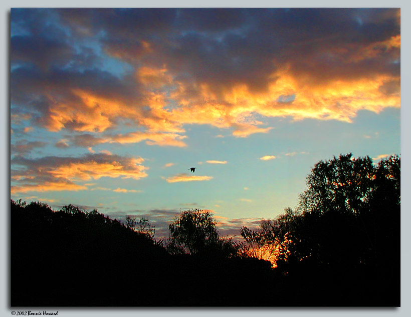 photo "Morning Glory" tags: landscape, autumn, sunset