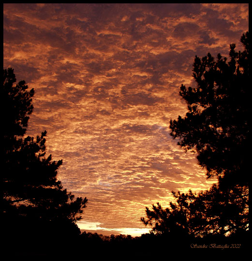 фото "Sun Catchers 2" метки: пейзаж, закат, облака