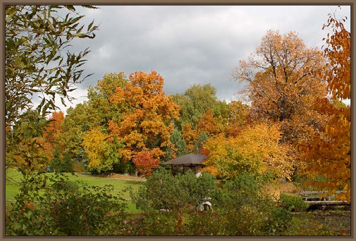 фото "В парке" метки: пейзаж, природа, осень, цветы
