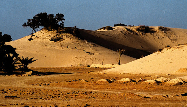 photo "Dunes 4" tags: landscape, travel, Africa