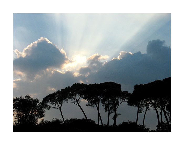 photo "Rays Of Light" tags: landscape, clouds, forest