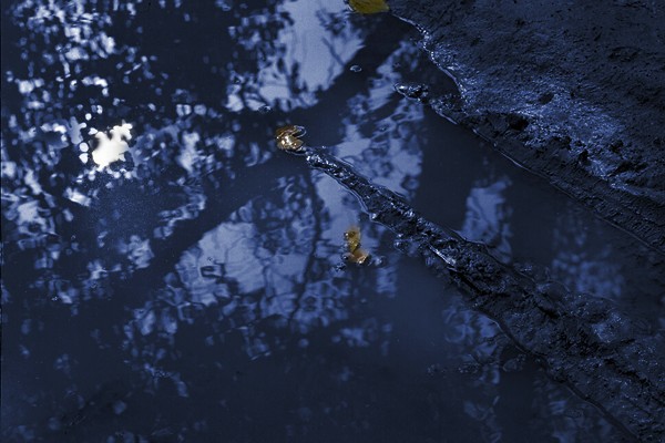 фото "Ночь" метки: природа, 