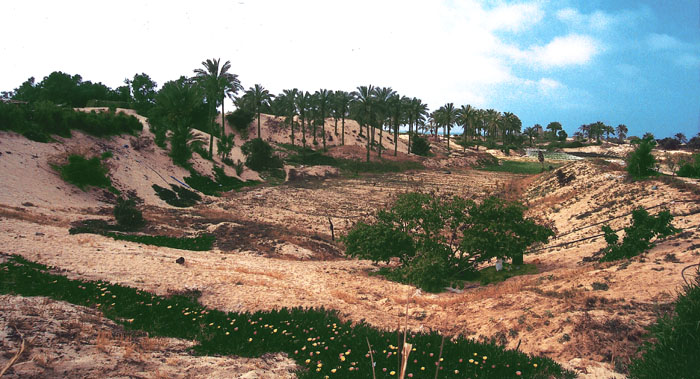 photo "North Sinai" tags: landscape, travel, Africa