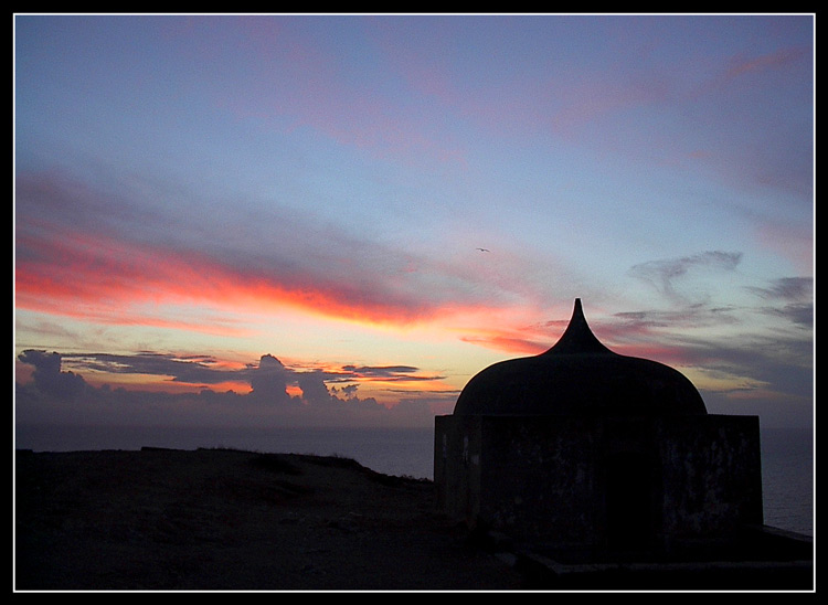 photo "Just fly" tags: landscape, 