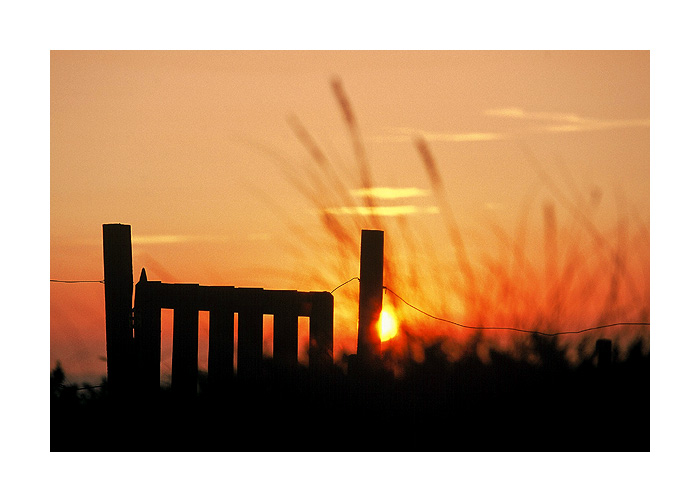 photo "The Fence" tags: landscape, sunset