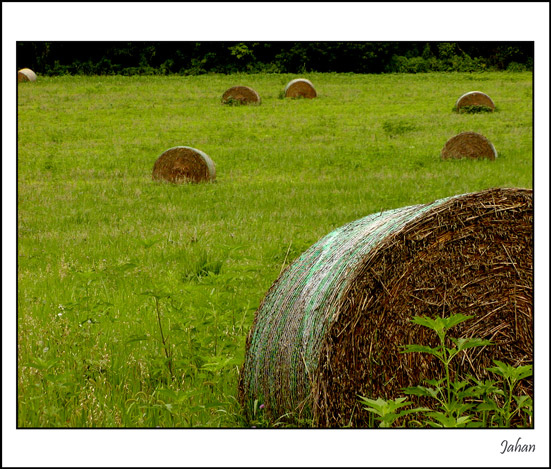 фото "Rolls Of Summer" метки: пейзаж, природа, лето