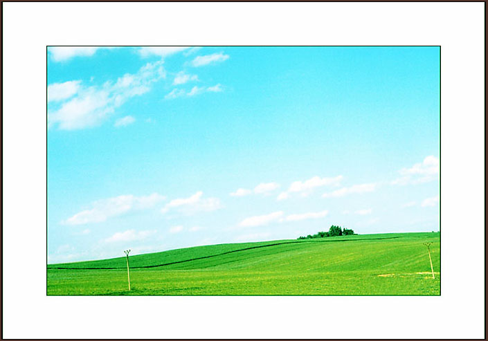 photo "Green field" tags: landscape, travel, Europe