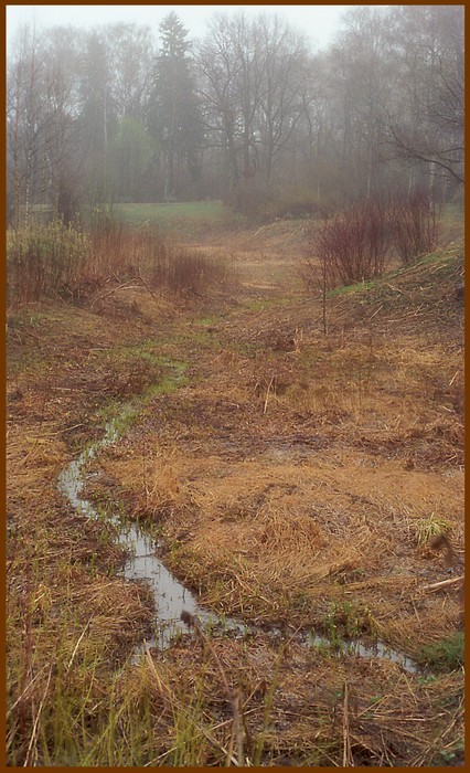 photo "Inter-season period - farewell to an autumn" tags: landscape, forest