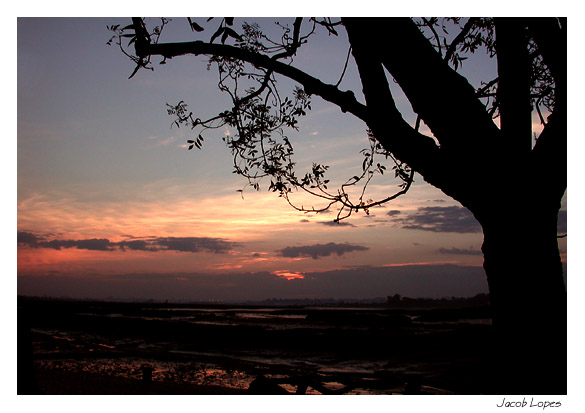 photo "the first light" tags: landscape, autumn, sunset