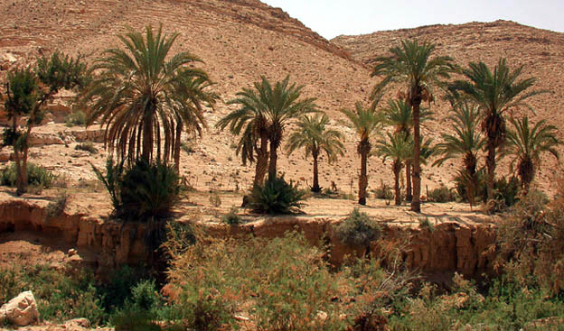 photo "North Sinai 2" tags: landscape, travel, Africa