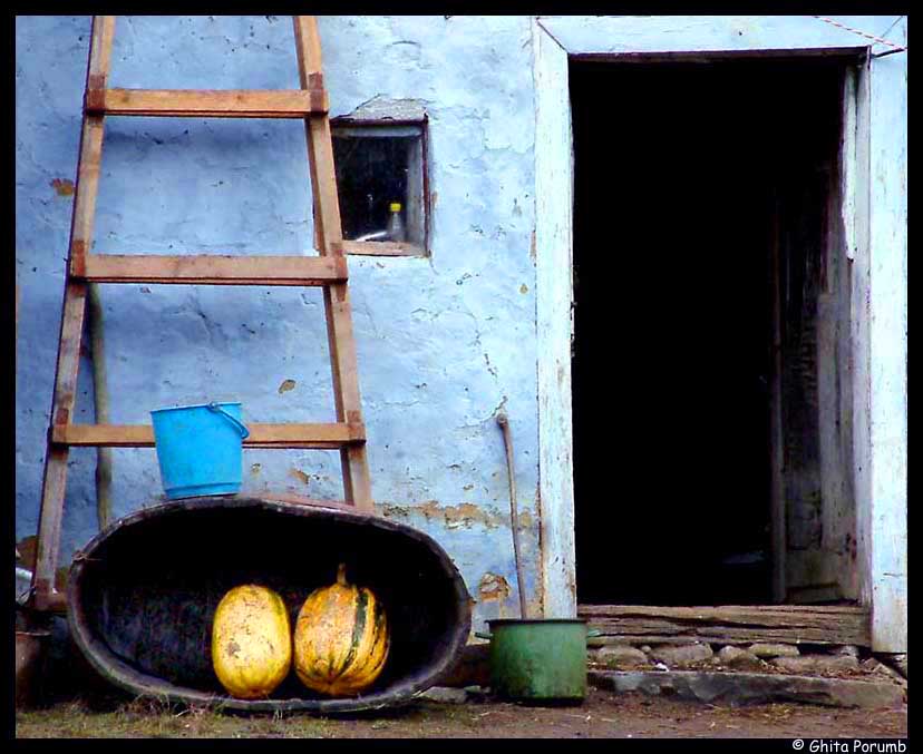 фото "Stable" метки: разное, 