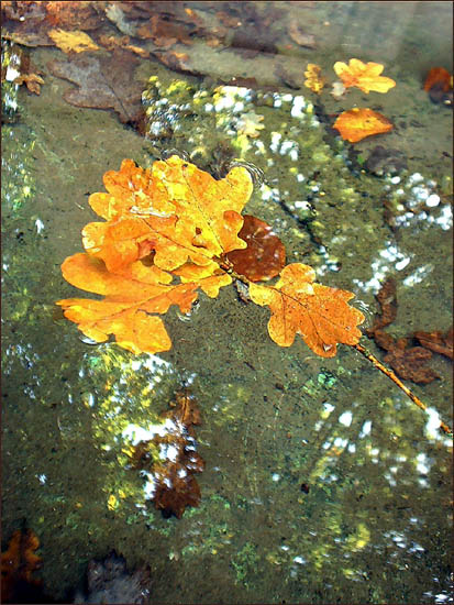 photo "***" tags: landscape, autumn, water