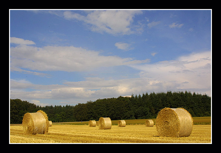 фото "country side" метки: пейзаж, лето