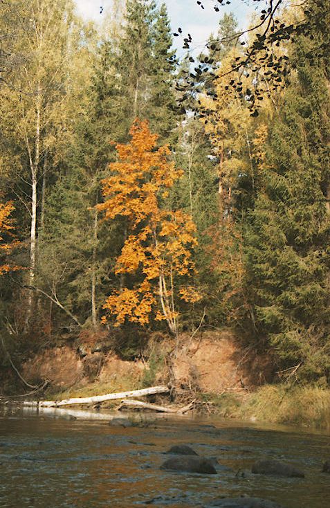 photo "River and fall" tags: landscape, autumn, water