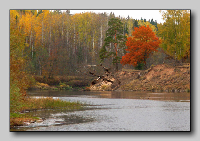 photo "It will snow tomorrow" tags: landscape, autumn, forest