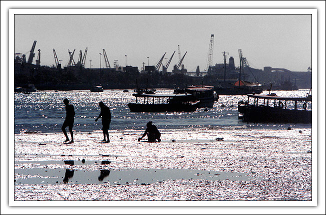 фото "Seeking for Crab" метки: пейзаж, вода