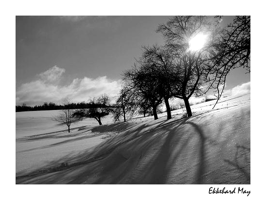photo "winter sun" tags: landscape, winter