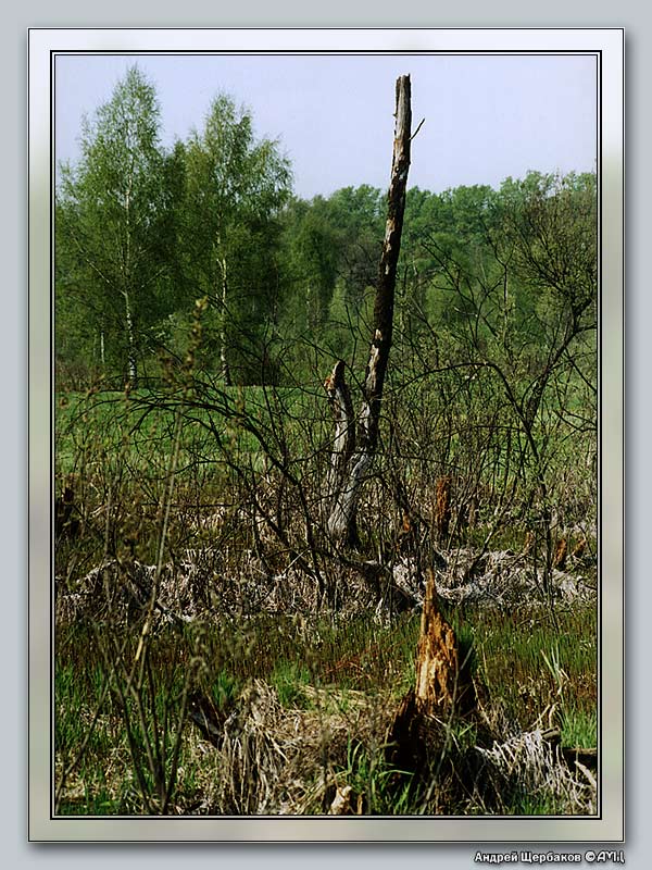 photo "God-forsaken spot II" tags: landscape, nature, 