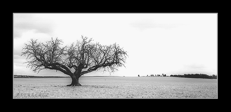 фото "Nakedness" метки: пейзаж, 