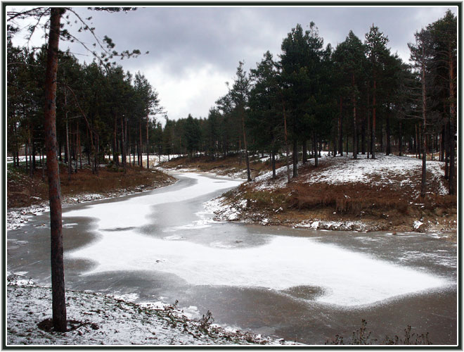 фото "Первый снег" метки: пейзаж, зима, лес