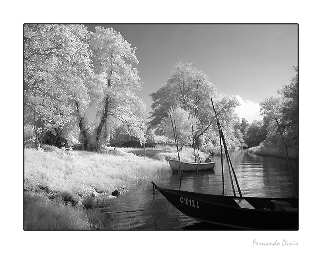 photo "Calm" tags: landscape, forest, water