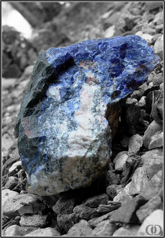 photo "A Gem Among Stones" tags: nature, 