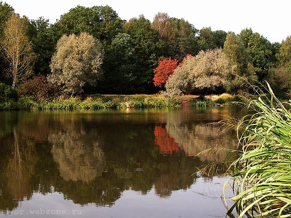 photo "Color world #2" tags: landscape, travel, 