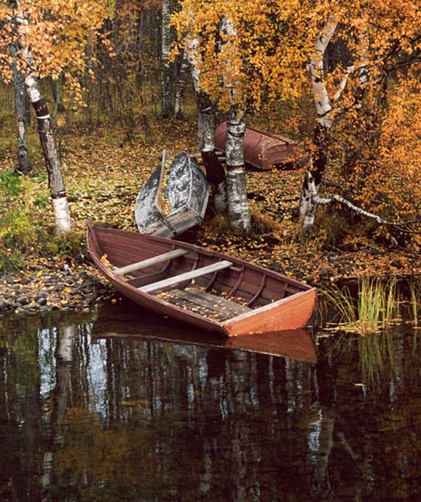 photo "Autumn in Karelia" tags: landscape, autumn, water