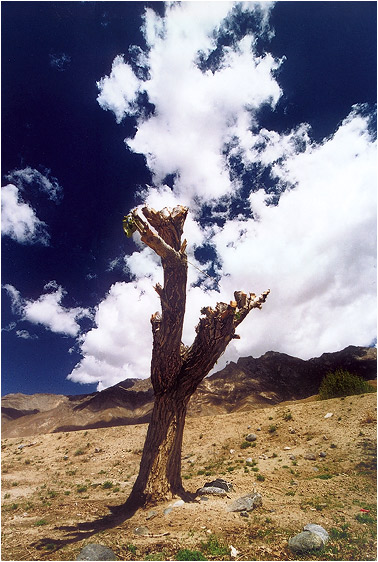 photo "Under blue heaven #15" tags: landscape, clouds, mountains