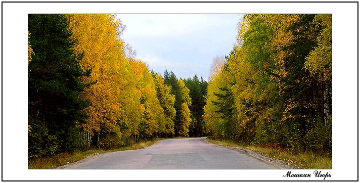 photo "Autumn turn." tags: landscape, autumn