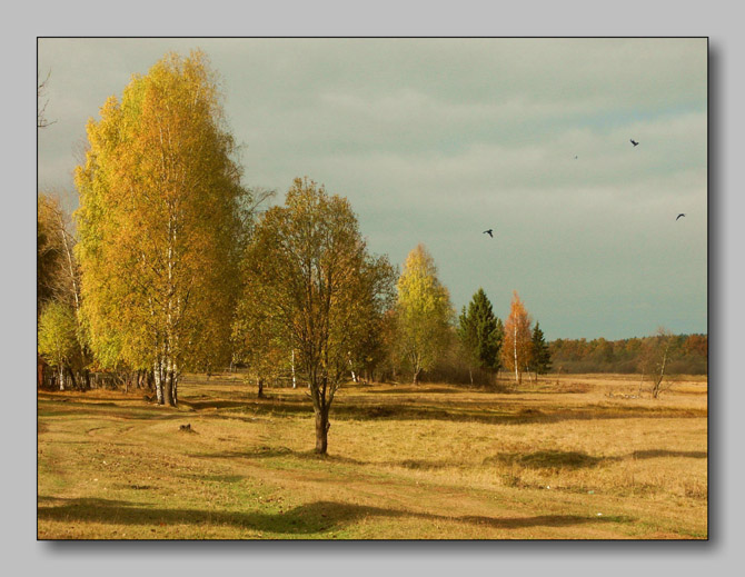 photo "Banal landscape" tags: landscape, autumn