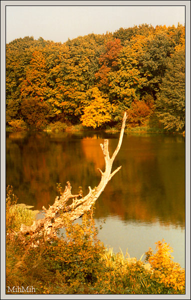 photo "Autumn" tags: landscape, autumn, water