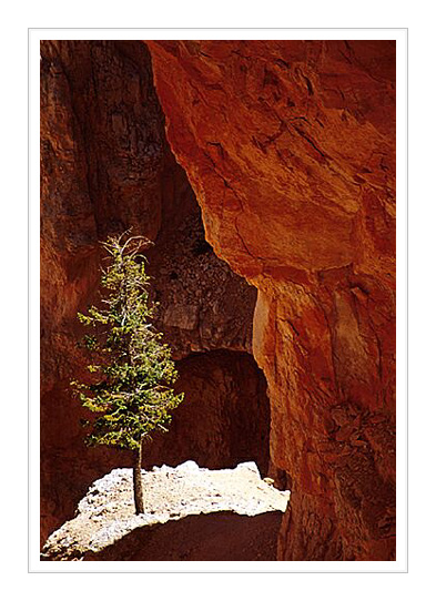 фото "Alone in the light" метки: пейзаж, горы
