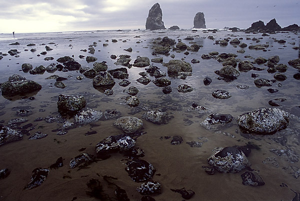 фото "Ocean Cost" метки: пейзаж, вода