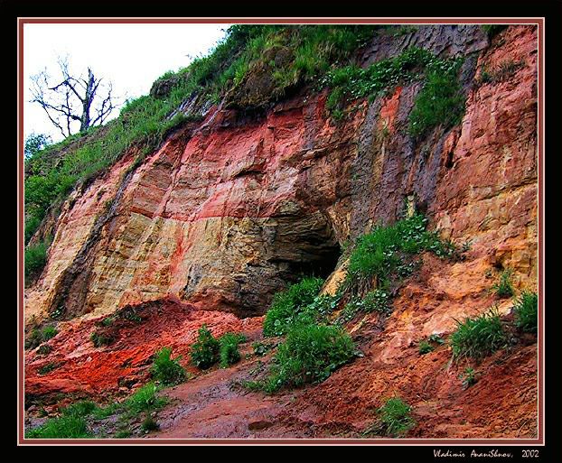 фото "Зев" метки: природа, 