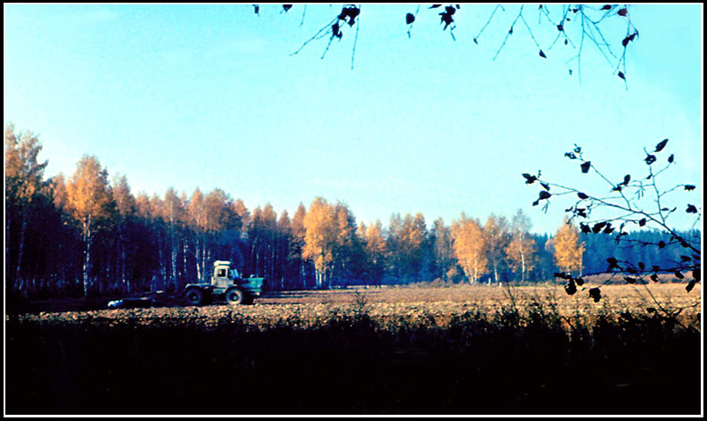 photo "OCTOBER" tags: landscape, genre, autumn