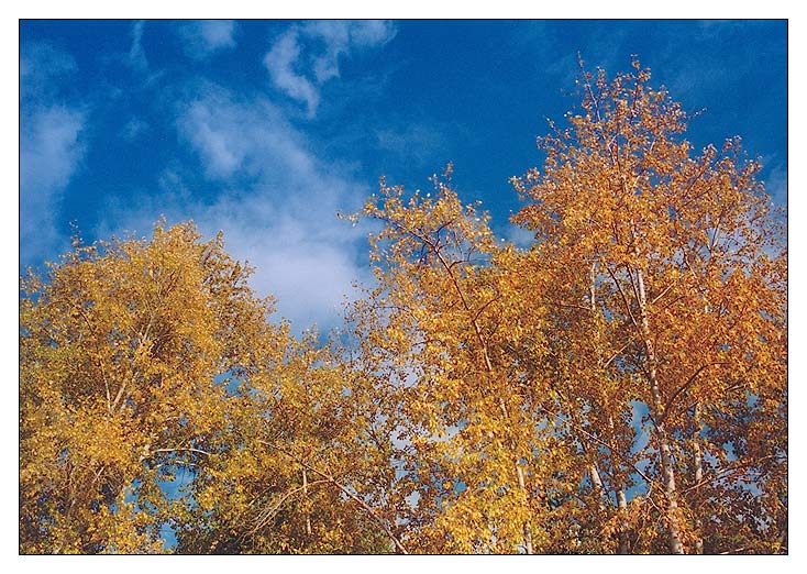 фото "***" метки: пейзаж, облака, осень