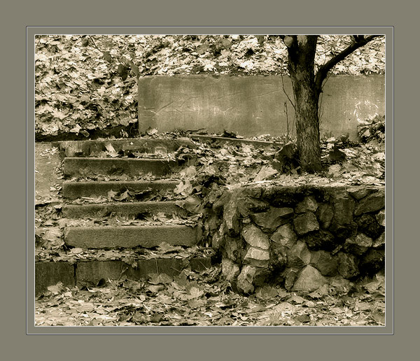 photo "Stairs" tags: landscape, autumn