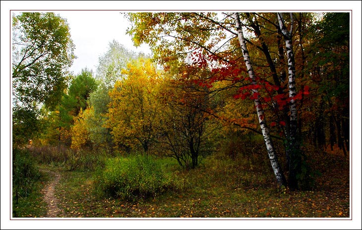фото "Russian" метки: пейзаж, осень