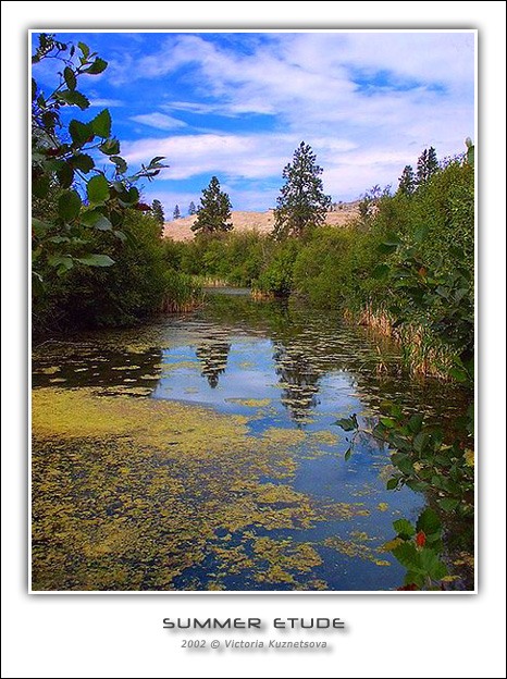 photo "Summer etude" tags: landscape, clouds, water