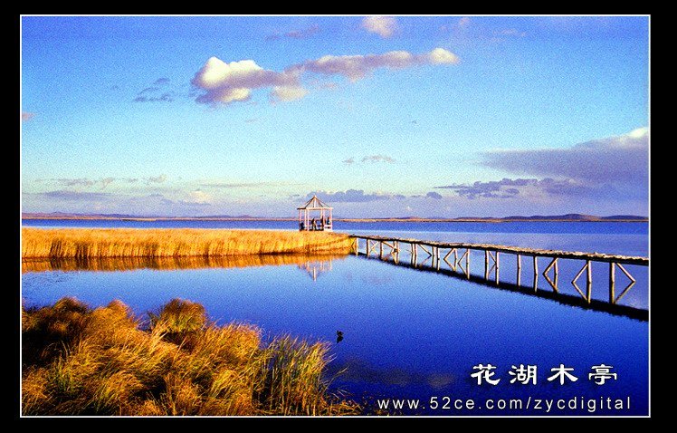 фото "FLOWERLAKE 3" метки: разное, 