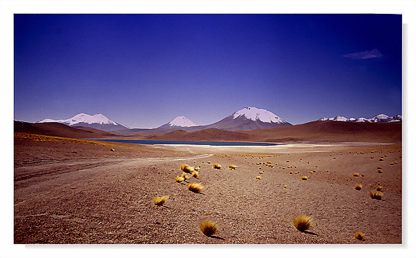 photo "Desert of Atacama" tags: travel, South America