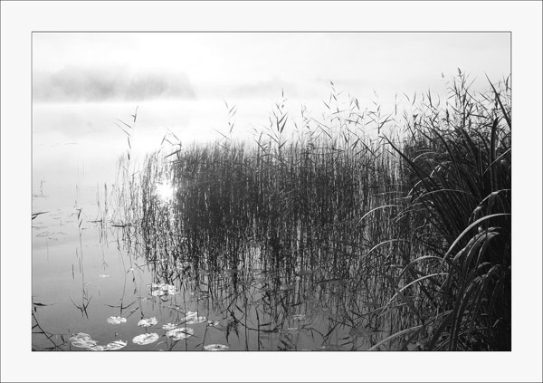photo "Etude 4" tags: landscape, water