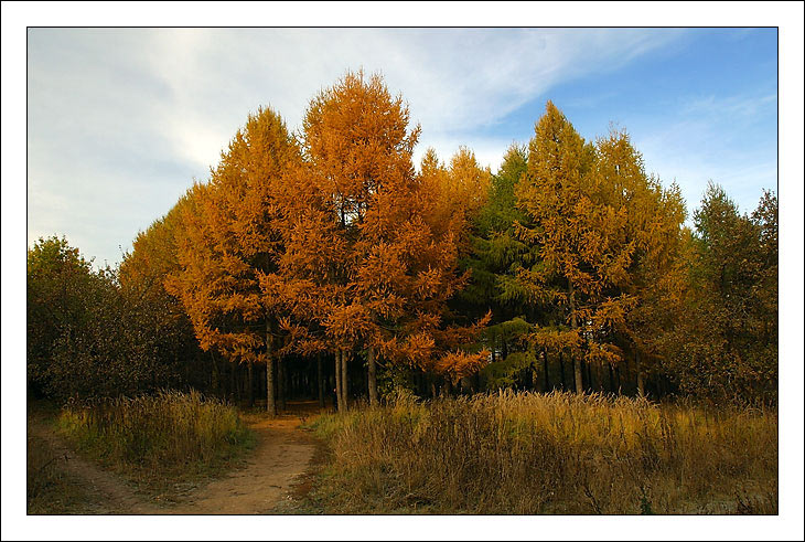 photo "Gates" tags: landscape, autumn