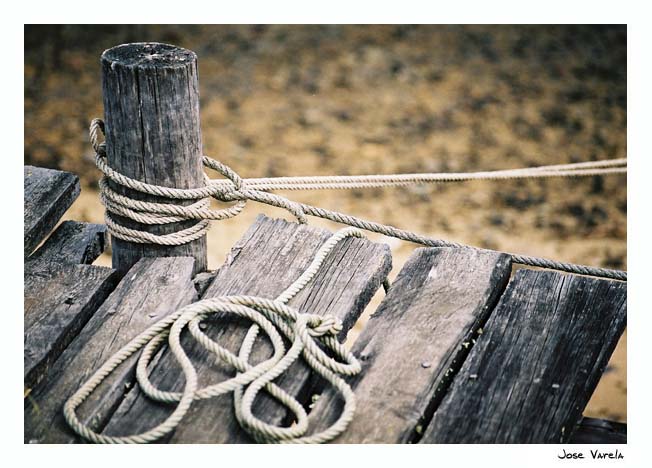 photo "Mooring cables" tags: misc., 