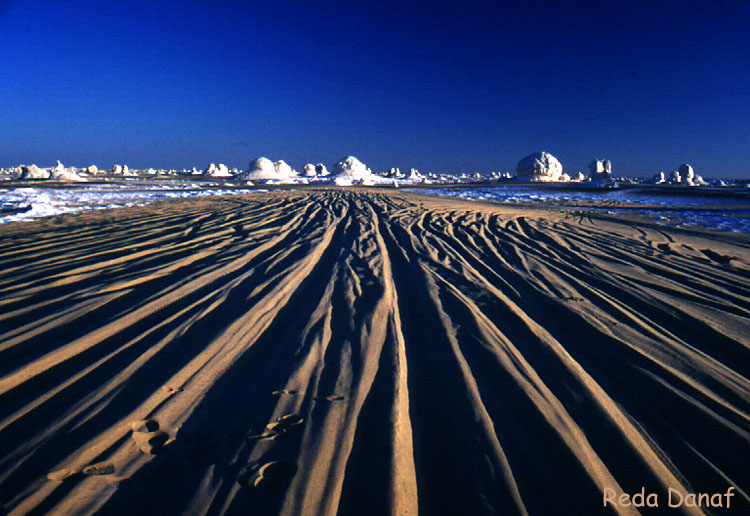 photo "Keep on track" tags: travel, landscape, Africa